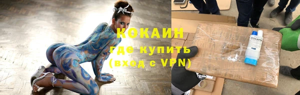 ПСИЛОЦИБИНОВЫЕ ГРИБЫ Краснослободск