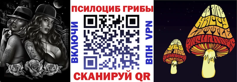 блэк спрут ссылка  Чаплыгин  Галлюциногенные грибы Psilocybe 